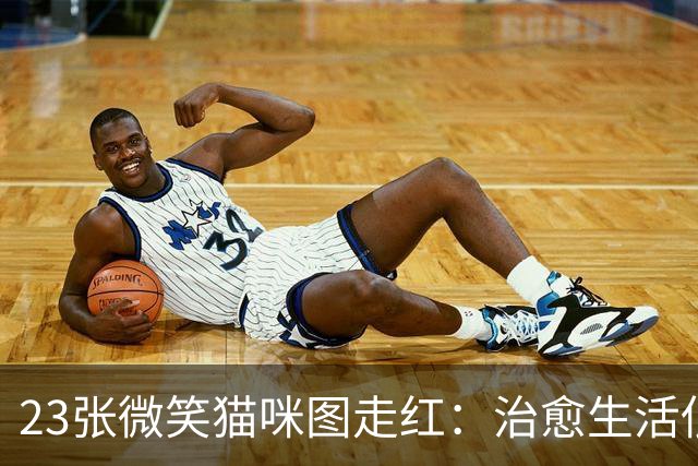 23张微笑猫咪图走红：治愈生活低谷的暖心瞬间